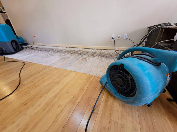 Professional Flood Damage Cleanup technician working in Prosperity, WV